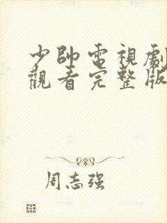 少帅电视剧免费观看完整版高清