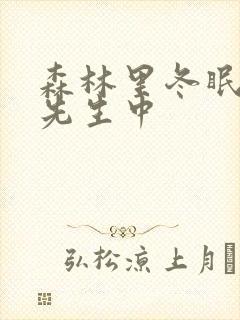 森林里冬眠的熊先生中封面