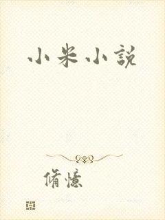 小米小说