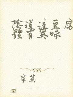 阴道流豆腐渣液体有异味封面