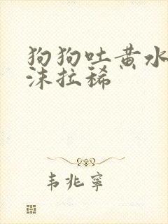 狗狗吐黄水带泡沫拉稀