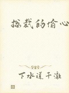 总裁的偷心娇妻