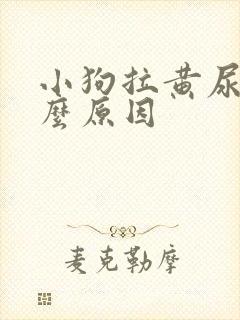 小狗拉黄尿是什么原因