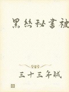 黑丝秘书被c