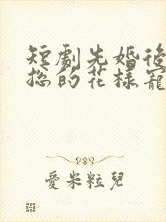 短剧先婚后爱范总的花样宠妻