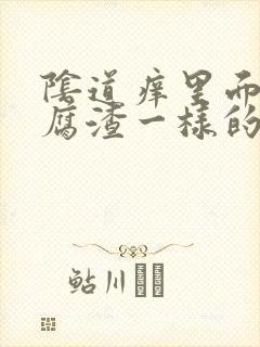 阴道痒里面有豆腐渣一样的东西封面