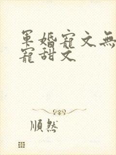 军婚宠文无虐超宠甜文