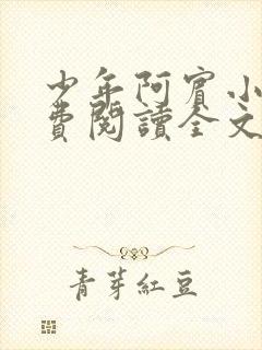 少年阿宾小说免费阅读全文免费