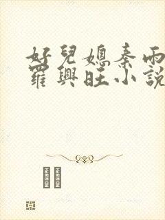 好儿媳秦雨罗明罗兴旺小说