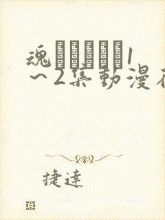 魂インサート1～2集动漫在线播放