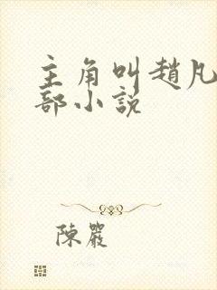 主角叫赵凡是哪部小说封面