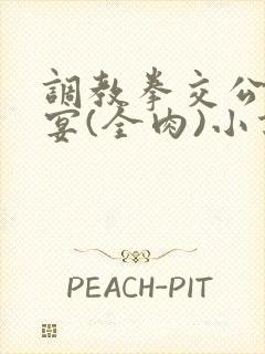 调教拳交公主淫宴(全肉)小说