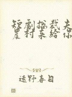 短剧总裁夫人从农村来给你撑腰了封面