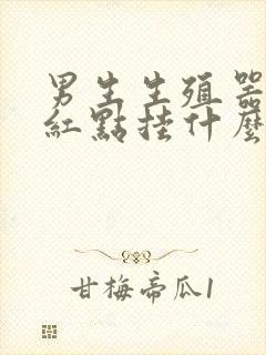 男生生殖器长小红点挂什么科