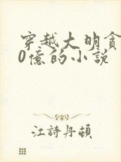 穿越大明贪了80亿的小说