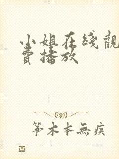 小姐在线观看免费播放