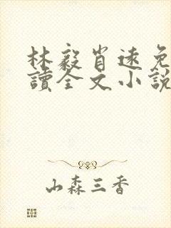 林毅肖远免费阅读全文小说封面