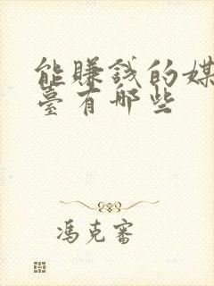 能赚钱的媒体平台有哪些