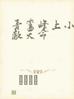 青鸾峰上小说无敌天命