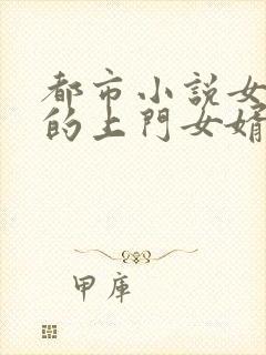 都市小说女总裁的上门女婿封面
