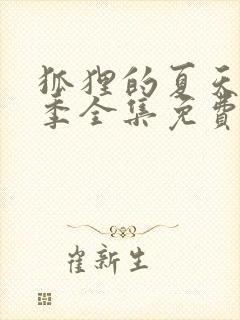 狐狸的夏天第三季全集免费