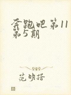 奔跑吧第11季第5期