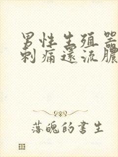 男性生殖器小便刺痛还流脓