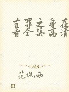 有罪之身在线观看全集高清