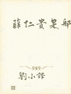 薛仁贵是哪里人