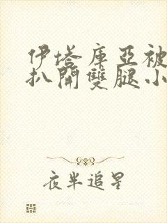 伊塔库亚被强行扒开双腿小说