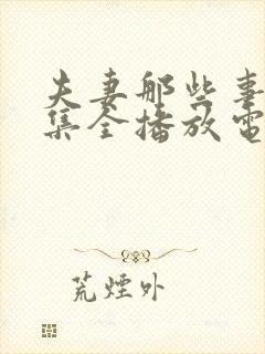 夫妻那些事24集全播放电视剧星辰封面