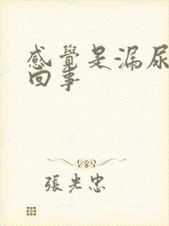 感觉是漏尿怎么回事