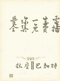 爱你一生电视剧全集免费播放封面