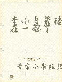 李小月最后和谁在一起了