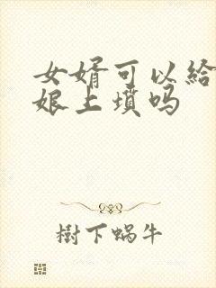 女婿可以给丈母娘上坟吗封面