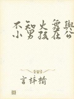 不知火舞与三个小男孩在公园封面