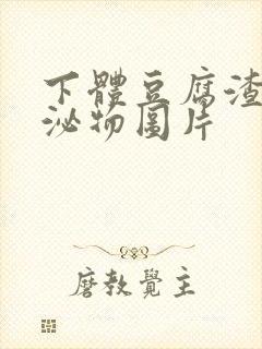 下体豆腐渣状分泌物图片