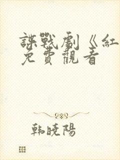 谍战剧《红颜》免费观看