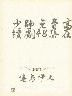 少帅免费高清连续剧48集在线观看