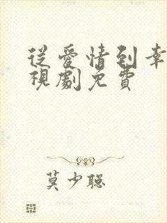 从爱情到幸福电视剧免费