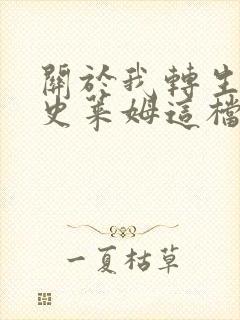 关于我转生变成史莱姆这档事朱菜封面