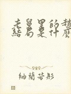 老舅里的赵海龙结局是什么