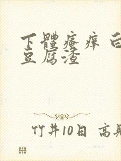 下体瘙痒 白带豆腐渣