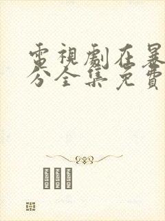 电视剧在暴雪时分全集免费