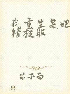 我重生是吧程逐精校版