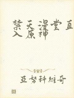 禁天漫堂直接进入原神