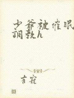 少爷被催眠玩弄调教h