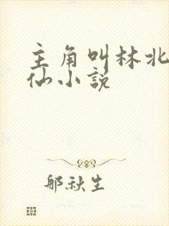 主角叫林北的修仙小说封面