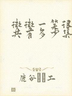 微微一笑很倾城共有多少集