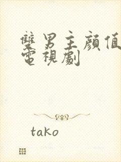 双男主颜值高的电视剧封面